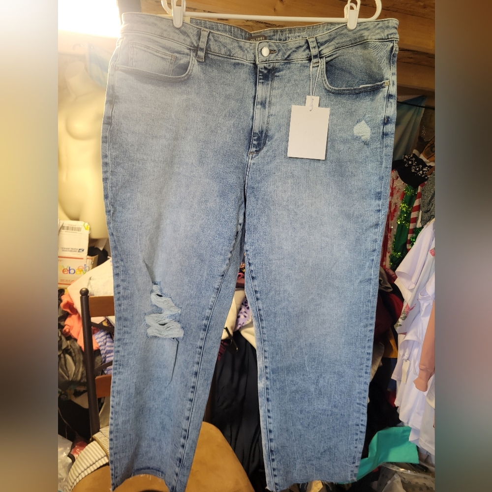 DL1961 NWT Women's Patti Straight High Rise Vintage Ankle Size 22W